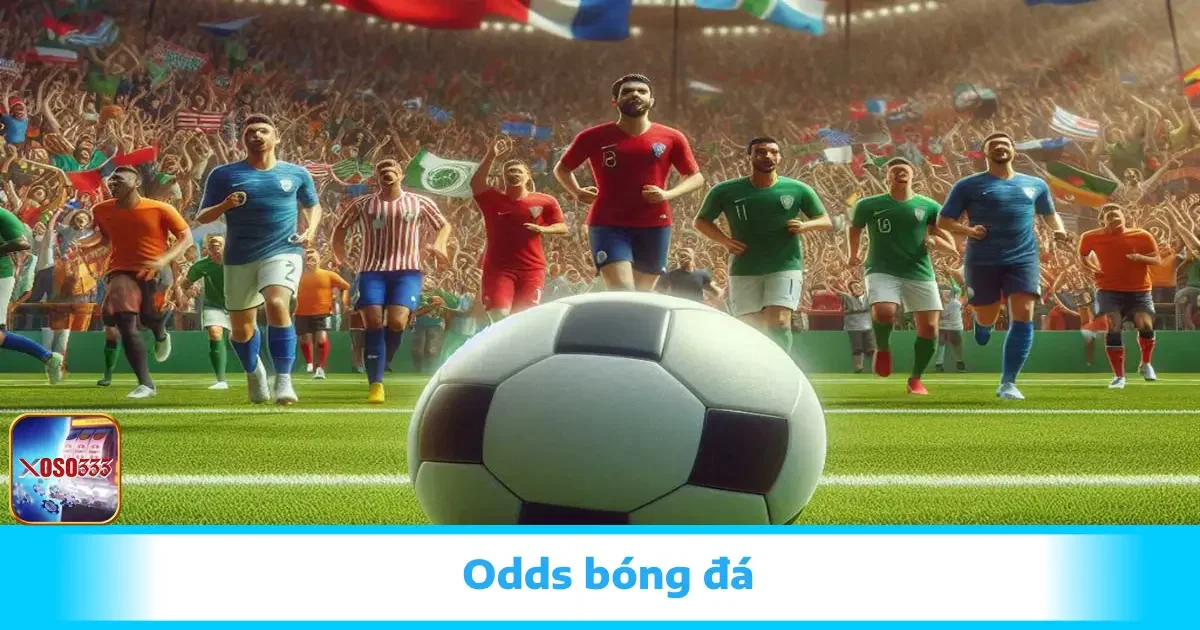 Odds Bóng Đá Tại Xoso333 - Phân Biệt Các Loại Dễ Hiểu Nhất