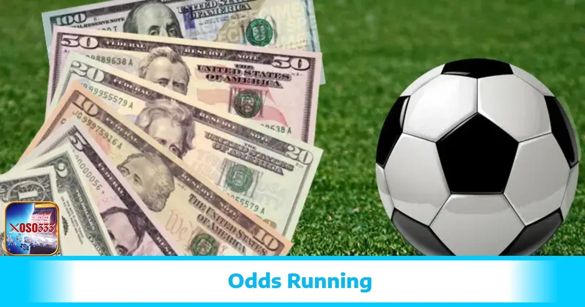 Odds Running Tại Xoso333 – Bắt Kèo Lúc Bóng Lăn Cực Nhạy